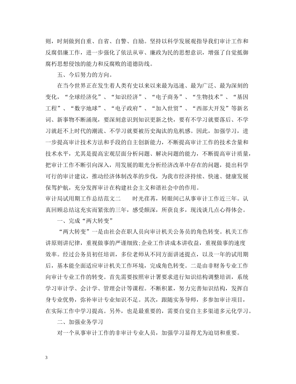 审计局试用期工作总结_第3页