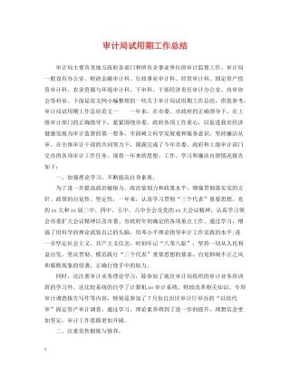 审计局试用期工作总结