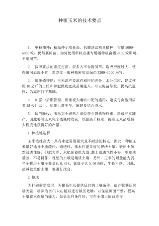 种植玉米的技术要点