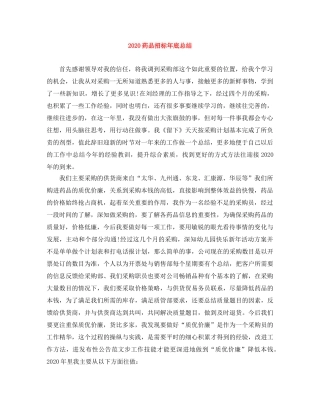 2020药品招标年底总结 
