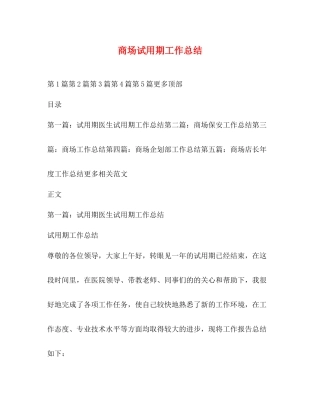 商场试用期工作总结