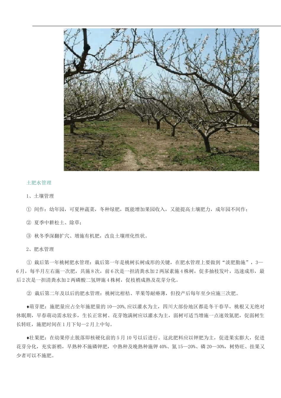 桃子的栽培技术_第3页