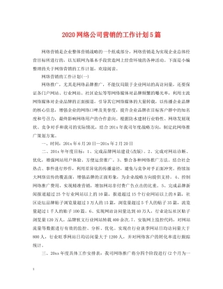 2020网络公司营销的工作计划5篇 