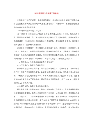 2020统计局个人年度工作总结 