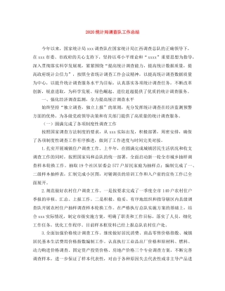 2020统计局调查队工作总结 