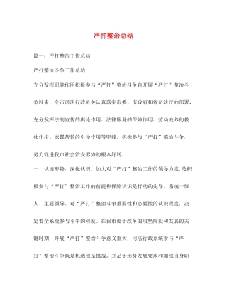 严打整治总结