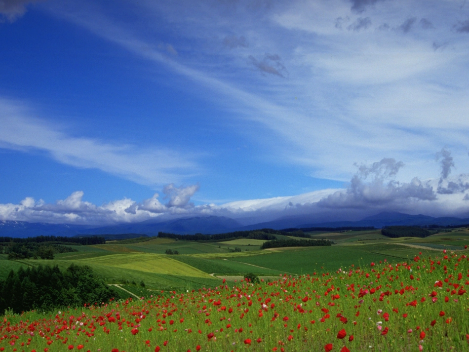 圆锥的体积2_第1页