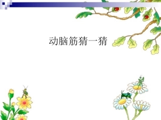 -小白兔和小灰兔公开课课件(配完全同步教案)