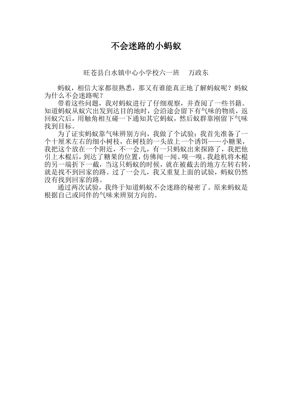 蚂蚁为什么不会迷路_第1页