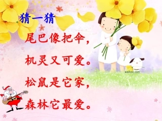 《10、松鼠和松果》公开课2