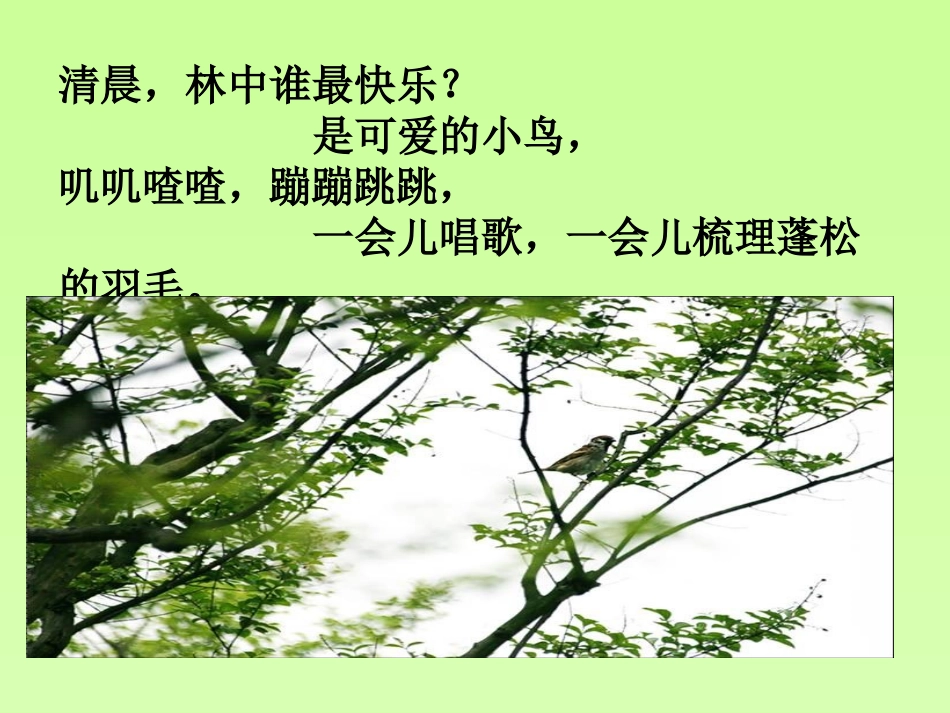 红领巾真好课件_第3页