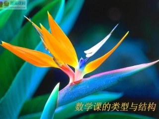数学课的类型与结构