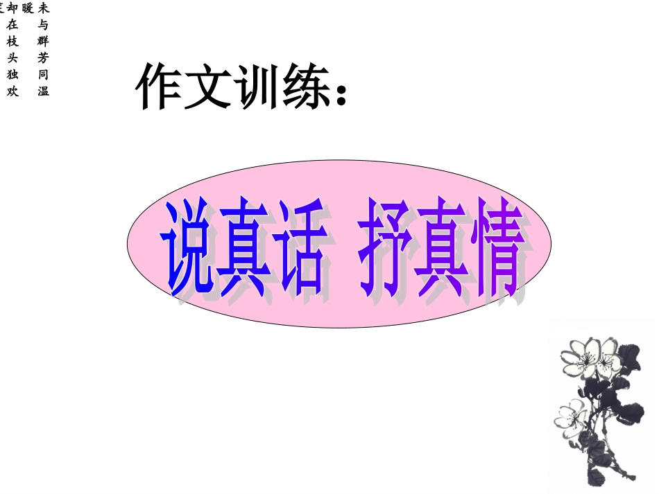 《说真话-抒真情》教学课件-娄伟主备_第1页