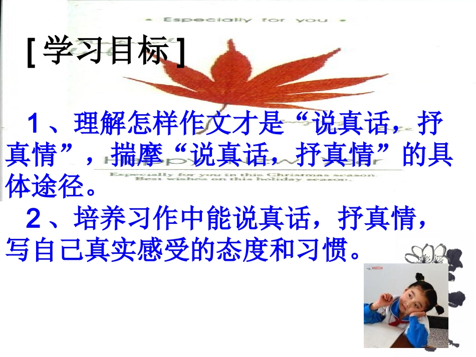 《说真话-抒真情》教学课件-娄伟主备_第2页