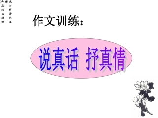《说真话-抒真情》教学课件-娄伟主备