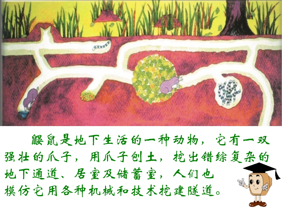 我们的地下世界_第2页