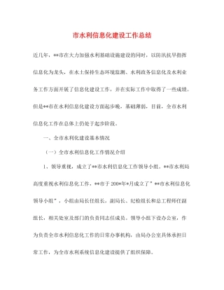市水利信息化建设工作总结