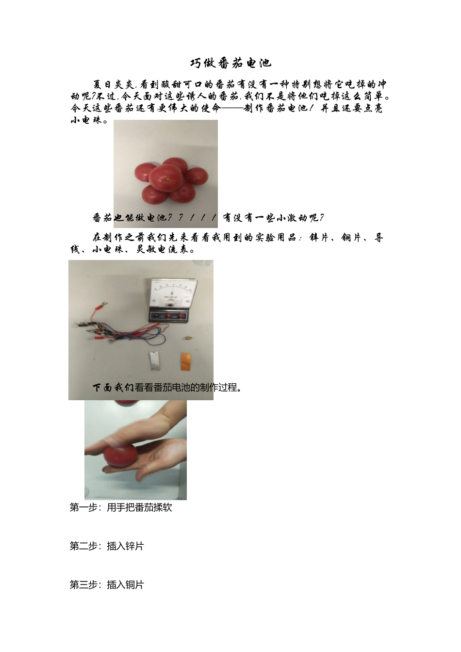 巧做番茄电池_第1页