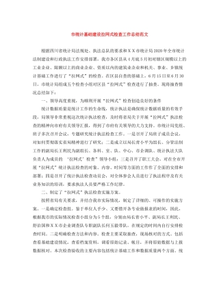 市统计基础建设拉网式检查工作总结范文
