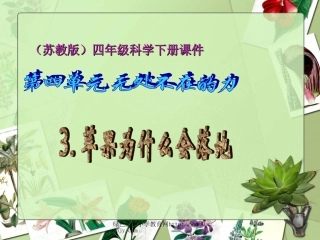 苹果为什么会落地