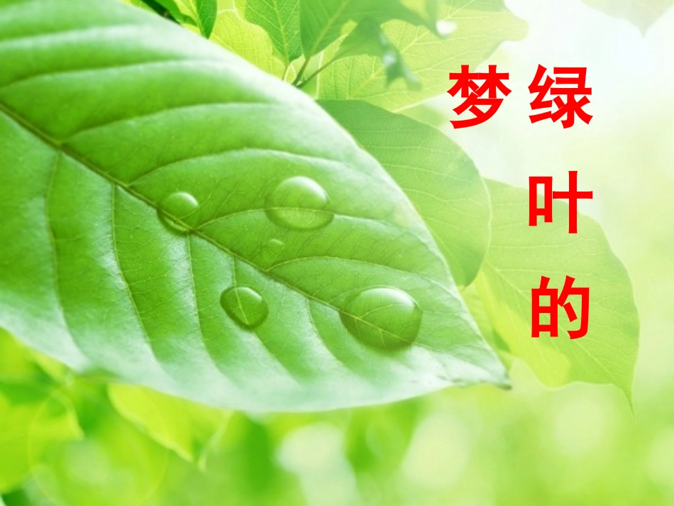 《绿叶的梦》课件__第3页