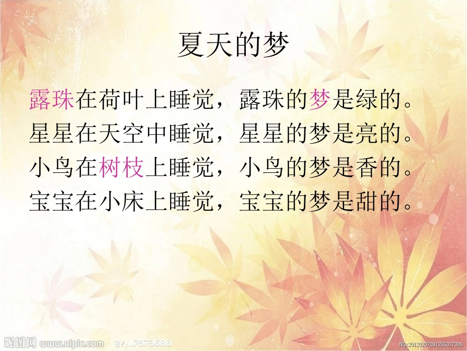 夏天的梦课件_第2页
