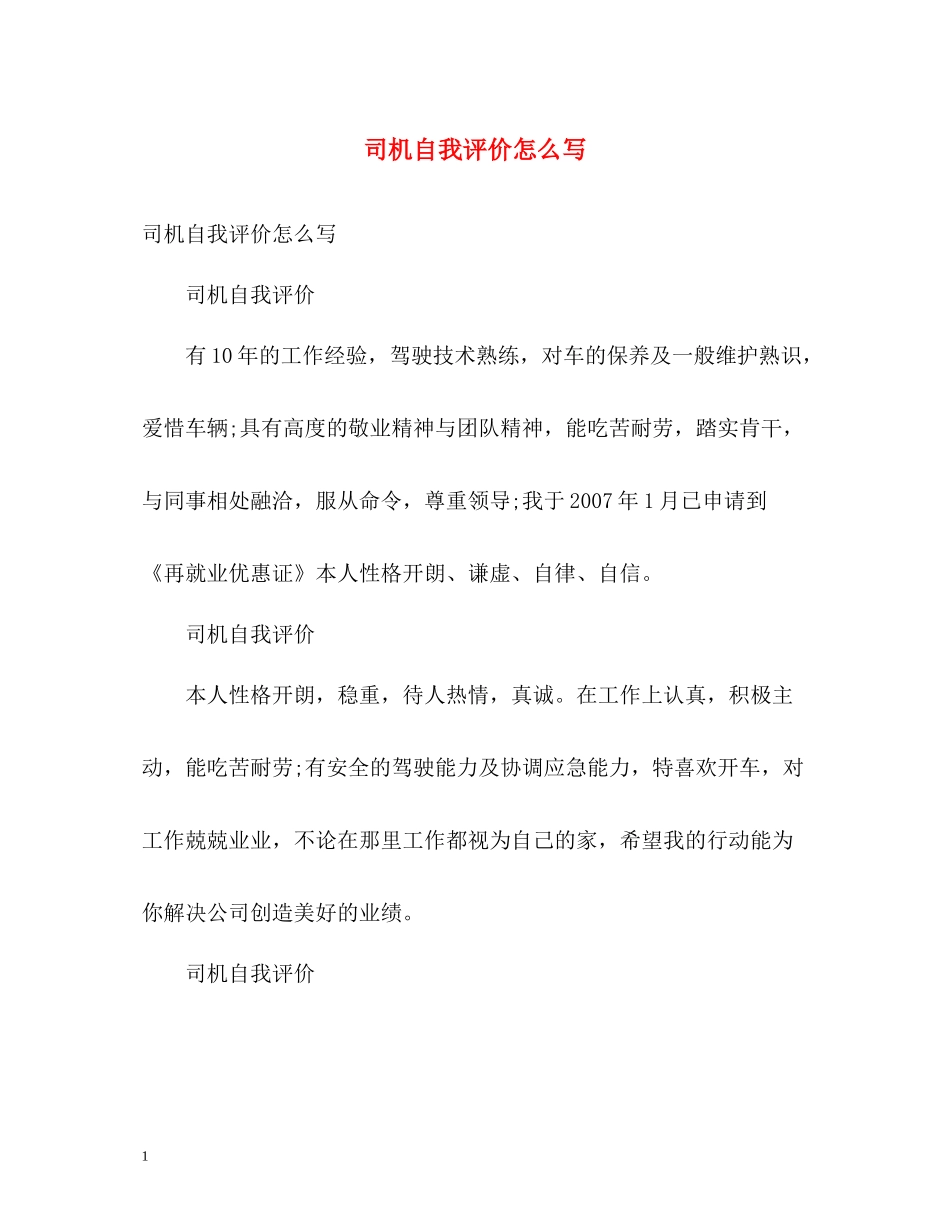 司机自我评价怎么写_第1页