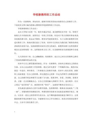 学校新教师的工作总结