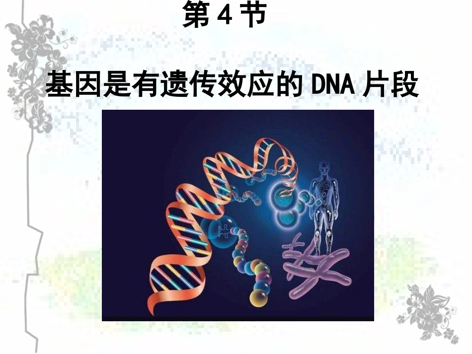基因是有遗传效应的DNA片段(2017届上课）_第1页