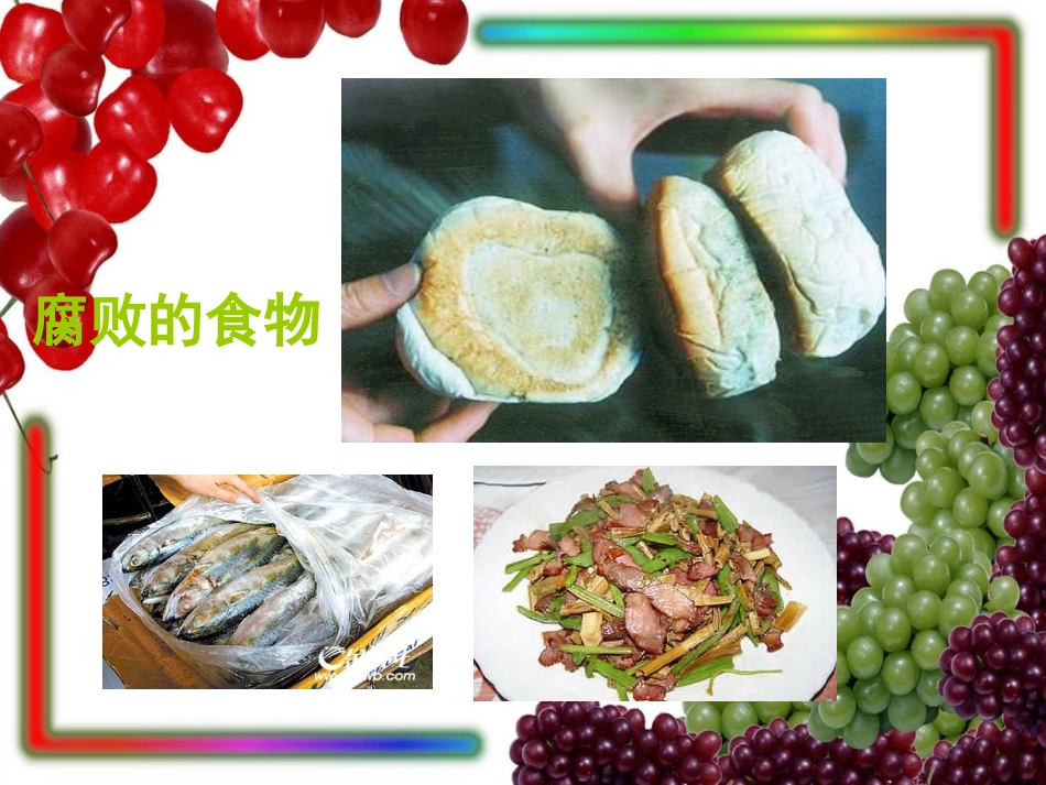 减慢食物变质的速度(2)_第2页