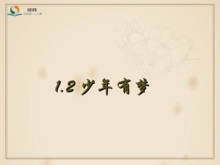 《少年有梦》优教课件