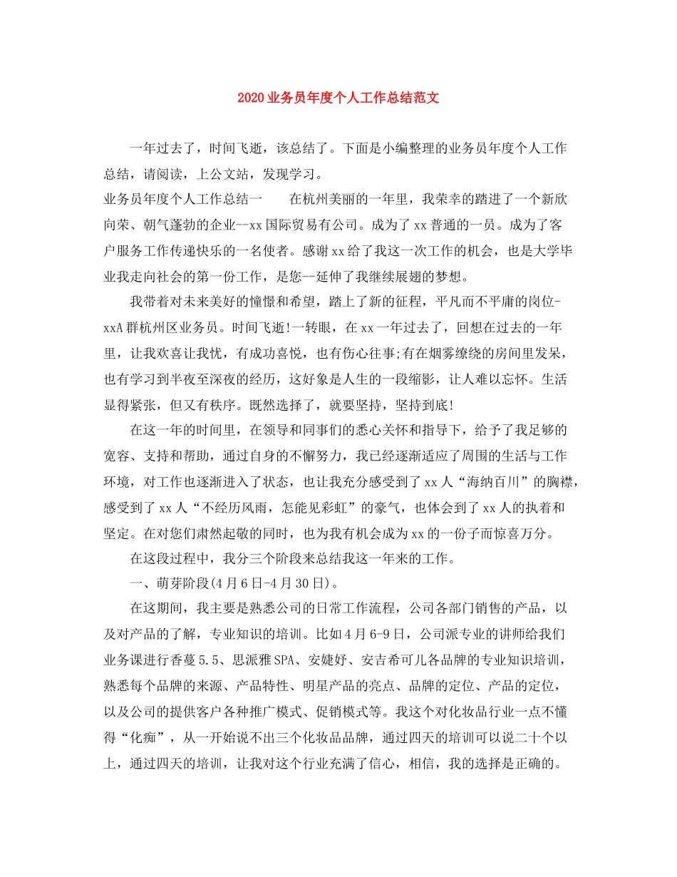 业务员年度个人工作总结范文_第1页