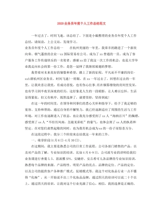 业务员年度个人工作总结范文