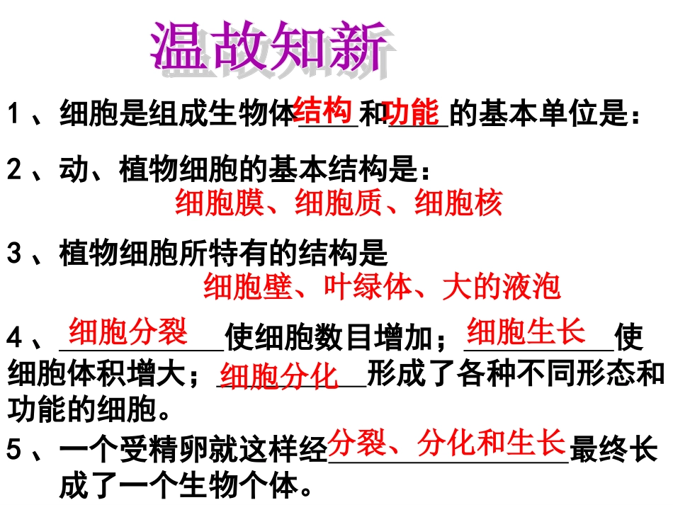 组织系统和器官_第2页