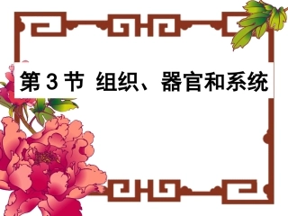 组织系统和器官