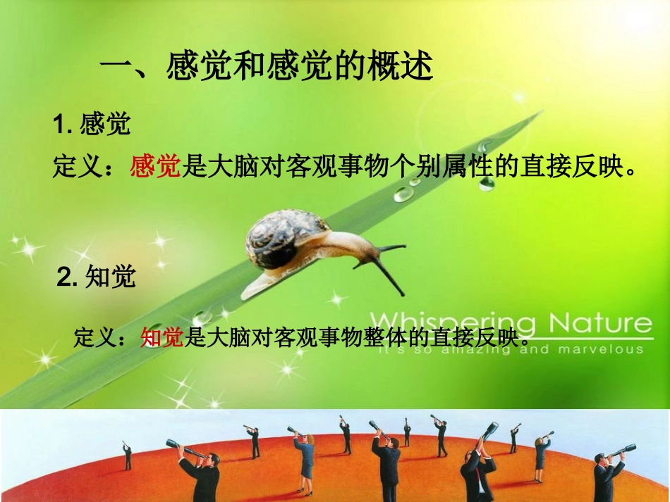 感觉和知觉的变化规律_第3页