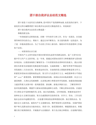 团干部自我评议总结范文精选