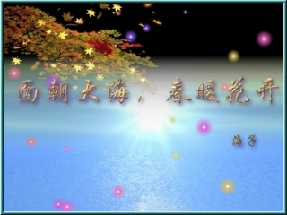 面朝大海春暖花开
