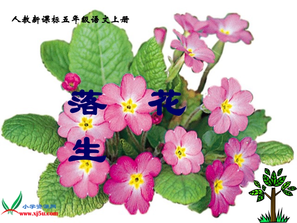 人教版公开课《落花生》课件4_第1页