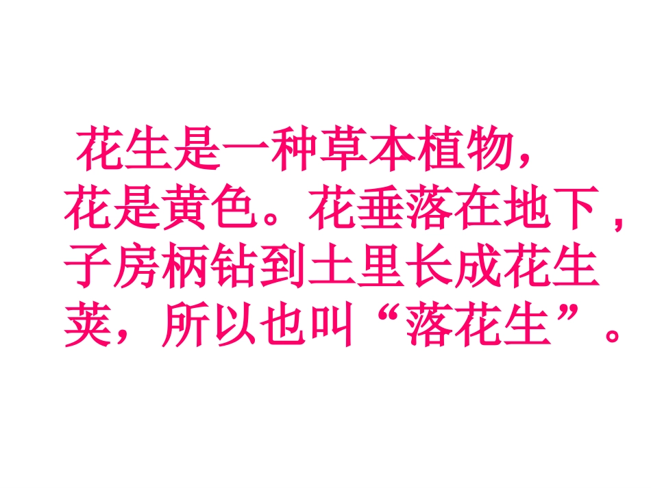 人教版公开课《落花生》课件4_第2页