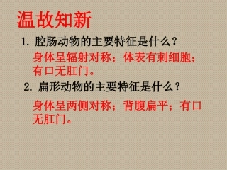 第二节-线形动物和环节动物课件