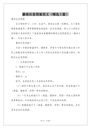 暴雨应急预案范本（精选5篇）