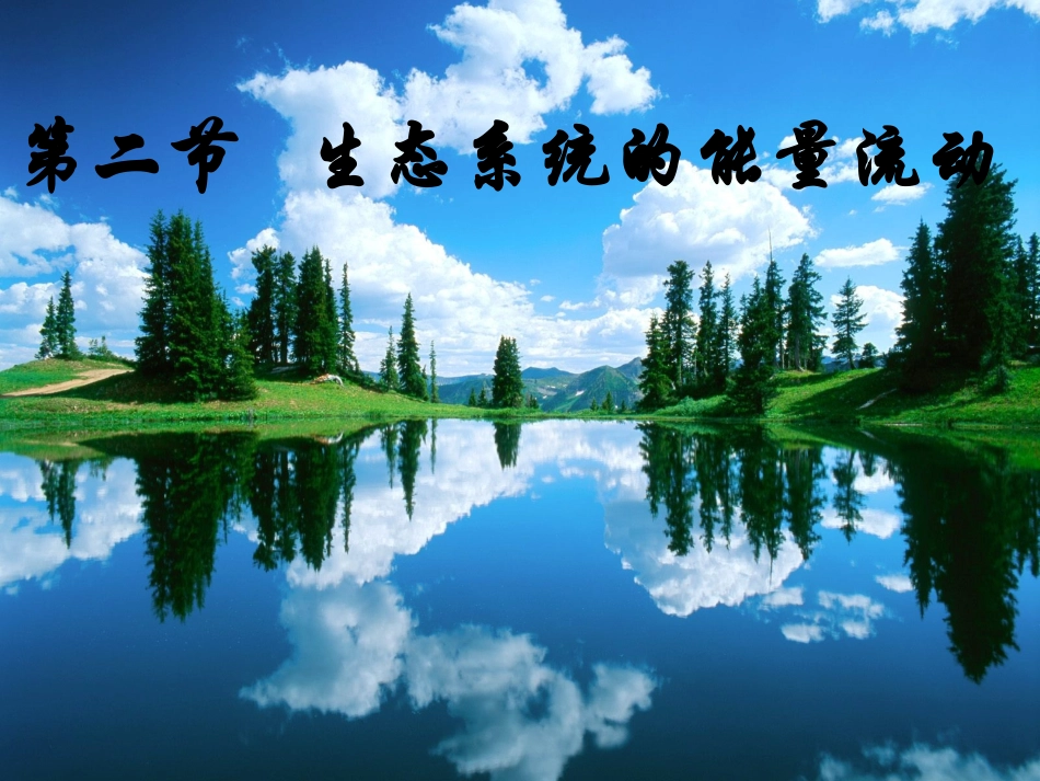 -生态系统的能量流动_第2页
