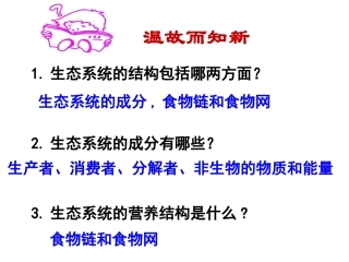 -生态系统的能量流动