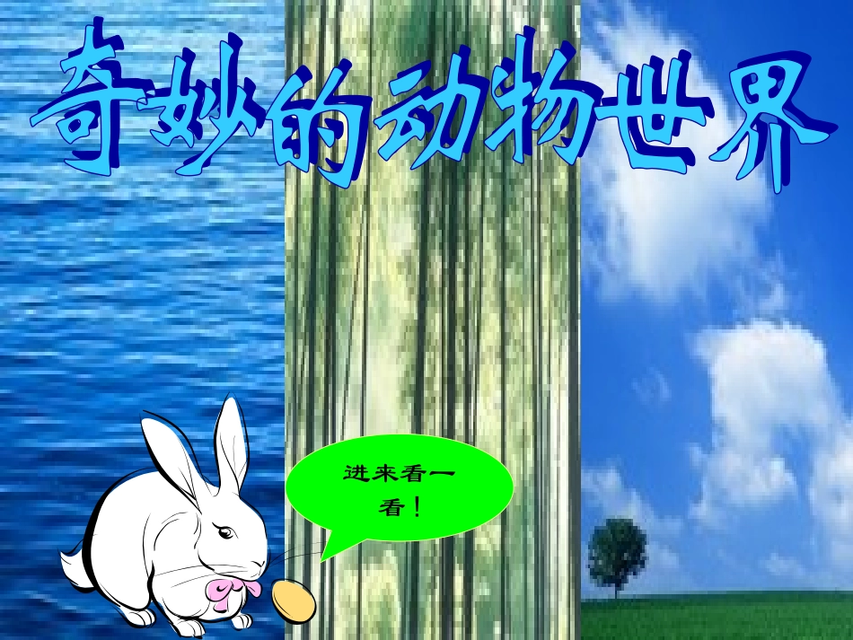 奇妙的动物世界_第1页