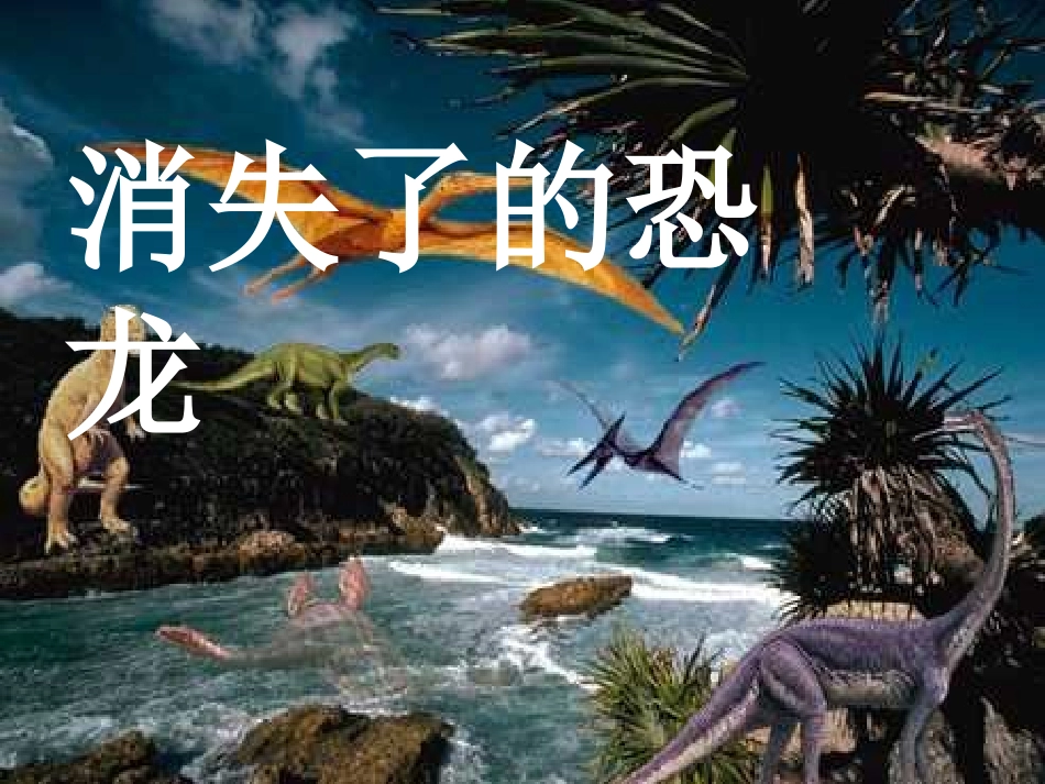 奇妙的动物世界_第3页