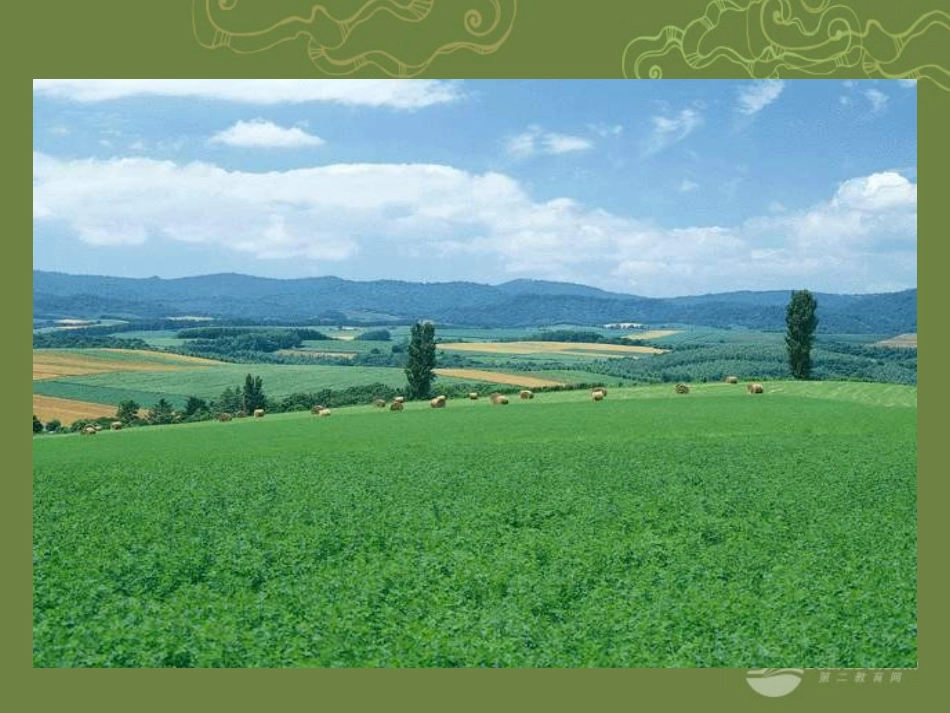 用思维导图制作课件 (2)_第3页