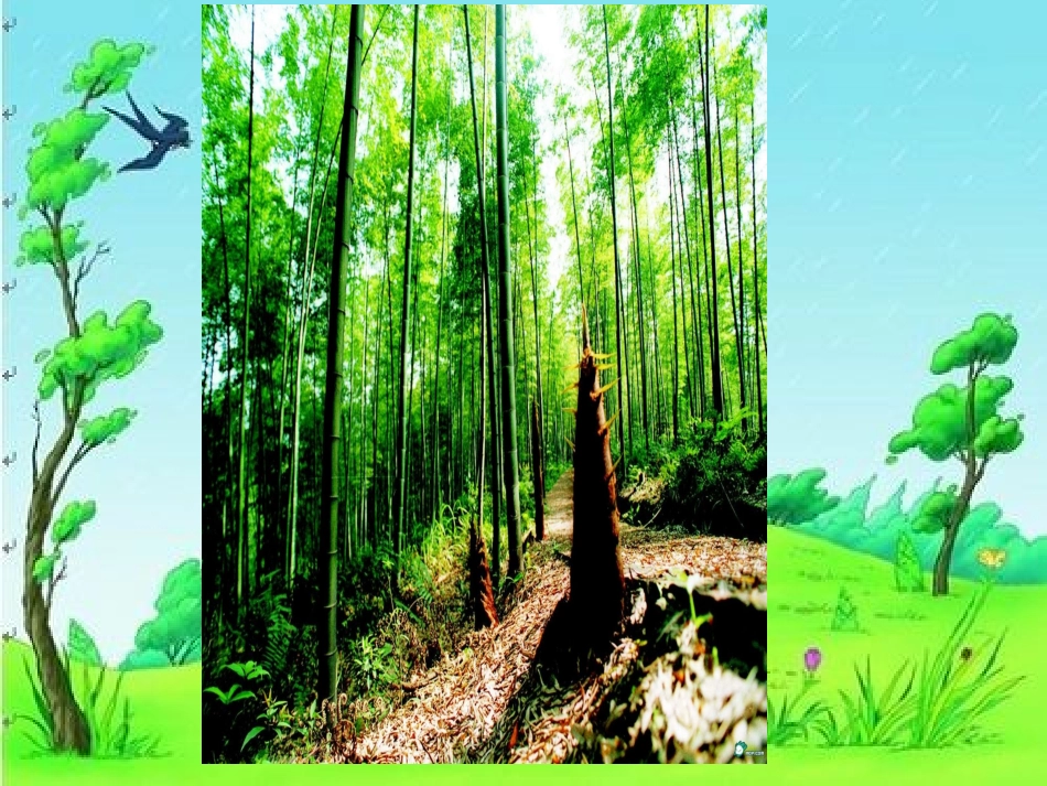 人教版小学二年级下册《笋芽儿》课件_第2页