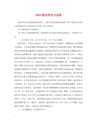 2020派出所实习总结 
