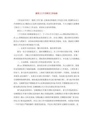 新员工三个月转正工作总结